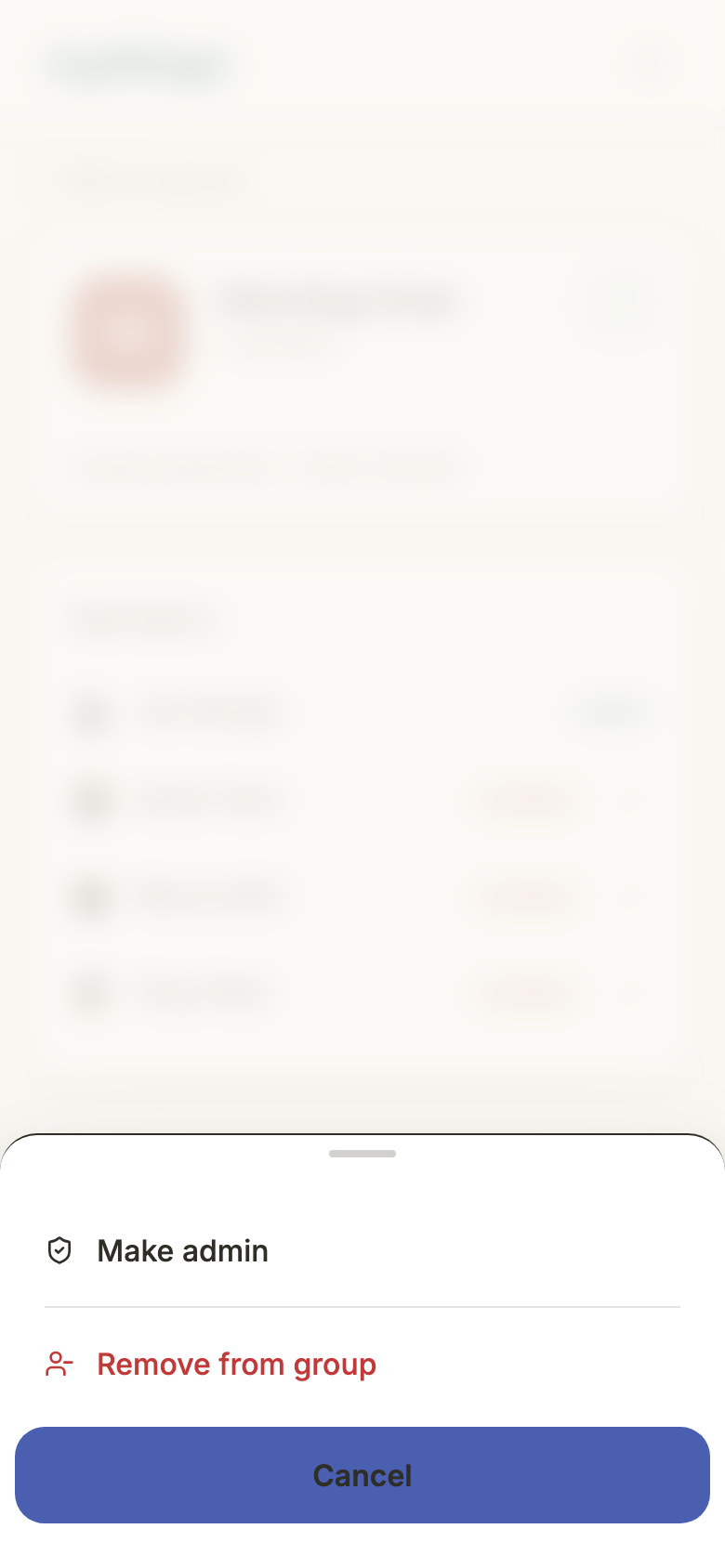 An action sheet over a blurred members list, offering Make admin, then Remove from group in red, then Cancel.